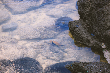 Makapuu beach park, East Oahu coast, Hawaii