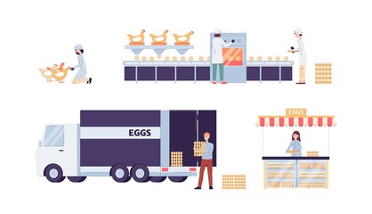 Chicken eggs factory production stages set, flat vector illustration isolated.