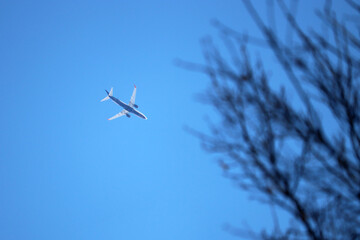 Airplane flying in the clear blue sky above the bare tree branches. Commercial plane in flight