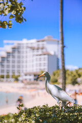 Ko Olina, West Oahu, Hawaii