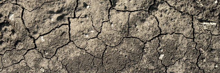 Texture of cracked dried soil. Dry ground with cracks. Brown rough surface of the soil during summer drought. Wide panoramic background for design. Ecology, climate change and global warming on Earth.