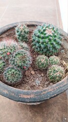 close up of a basket