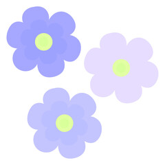 vector illustration with flowers on a white background