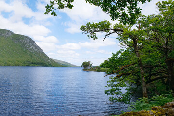 Glenveagh National Park, Donegal in Northern Ireland. Beautiful rough landscape with green moss forest, lake, park and waterfall, second largest park of the country. Gleann Bheatha in Irish language