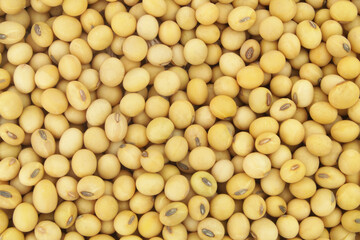 Soy beans background 