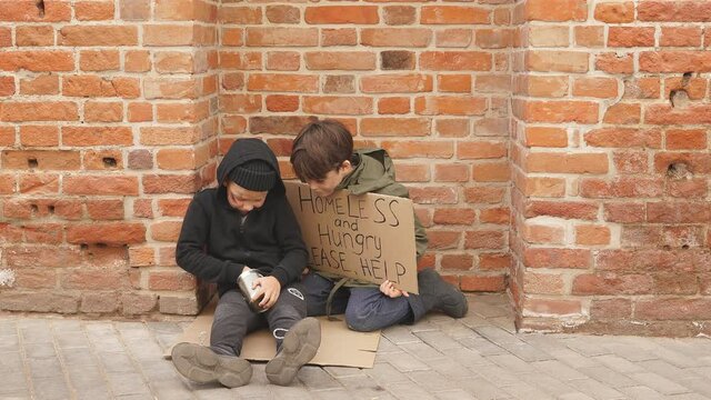 Street boys count the money, think whether there is enough for shelter or food, holding cardboard with HELP description.