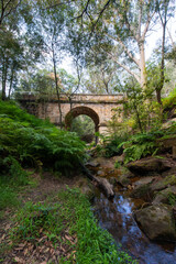 Fototapeta na wymiar Creek and fern around Lennox Bridge, the oldest arch bridge in Australia.