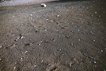  Crater, Haleakala National Park, Maui Hawaii