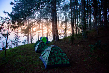 Camping and tent with view mountain pine forest