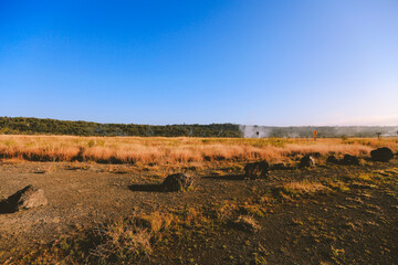 Steam Vents at Hawaii Volcanoes National Park