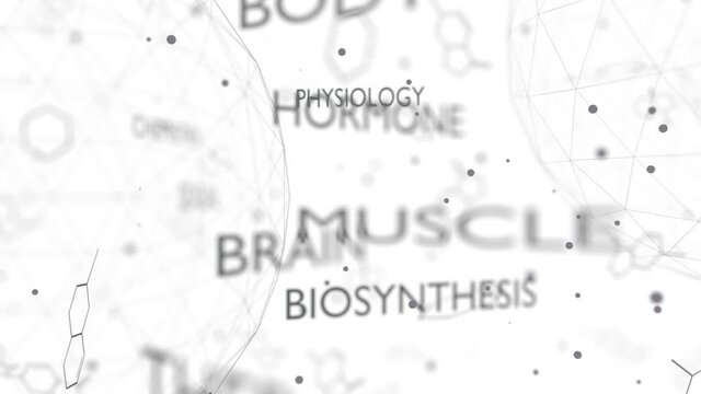 Tags cloud of hormone testosterone. Words collage.