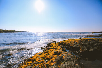 Black sand, Punaluu Beach, Big island, Hawaii
