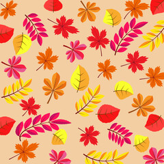 Obraz na płótnie Canvas pattern leafs