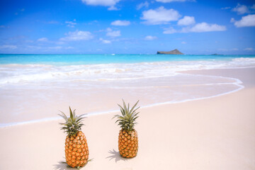 Pineapple on the beach, Waimanalo, Oahu, Hawaii