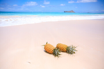 Fototapeta na wymiar Pineapple on the beach, Waimanalo, Oahu, Hawaii