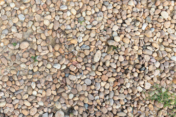 background texture of pebbles stone with sand and small green plant