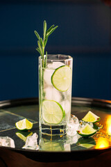 Fresh gin tonic cocktail with rosemary and lime on the round tray