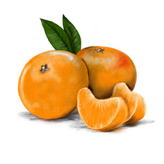 Mandarini con spicchi disegnati a mano