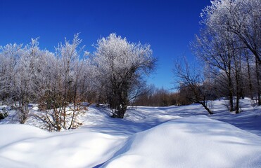 The magnificent view of Bolu Abant covered with snow in winter. A place everyone should go once in their lifetime