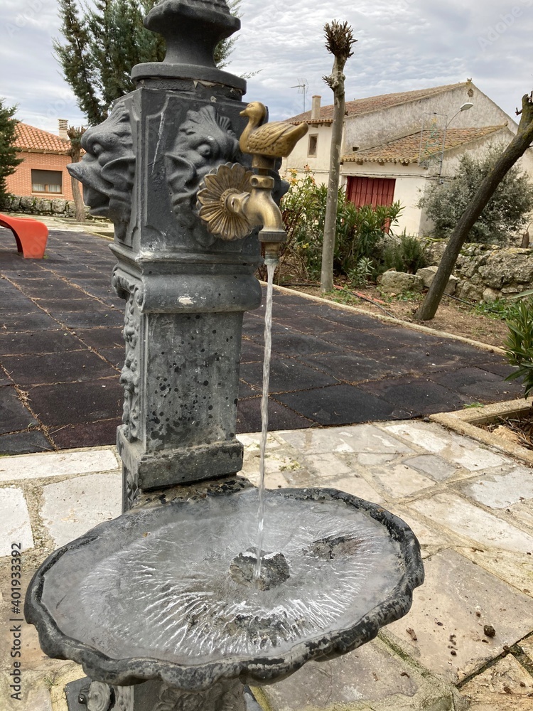 Wall mural Frozen Fountain