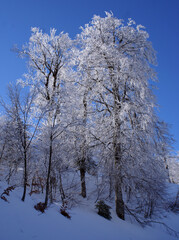 The magnificent view of Bolu Abant covered with snow in winter. A place everyone should go once in their lifetime