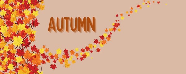 Autumn season artwork red maple leaf decoration background