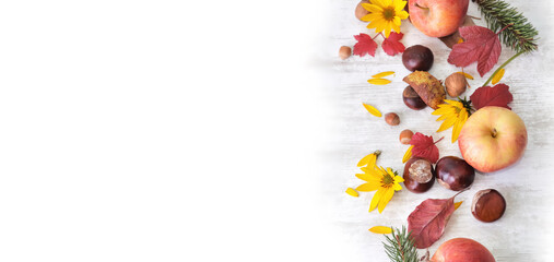 red apples, brown, yellow flowers with leaves in autumnal still life with white copy space on the left