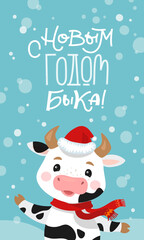 Happy New Year Russian Banner. Cute cow and ox dancing and celebrating. Christmas card in a flat style. Chinese new year symbol. 2021 year. Translation Happy New Year