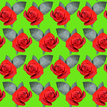 Seamless pattern with red rose flowers and green leaves on green background. Endless colorful floral texture. Raster illustration.