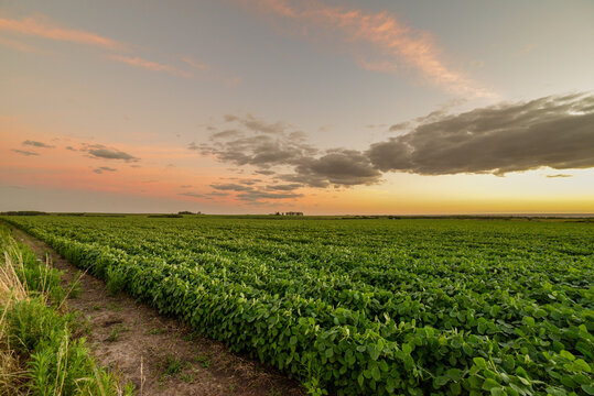 A beautiful dramatic cloudscape over a cultivated agricultural field in Uruguay, Juan Lacaze, Colonia