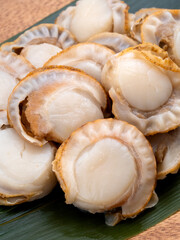 ボイルした帆立貝