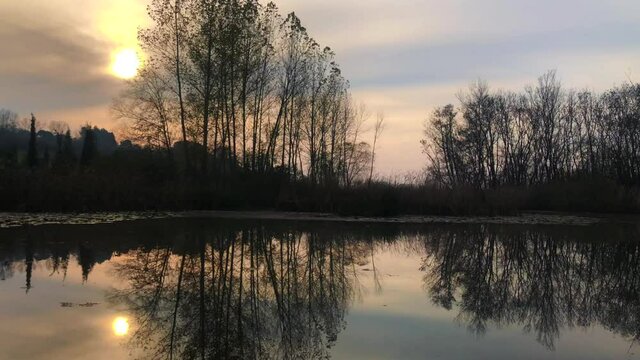 A video shot at sunset between the long trees with a drone in Sakarya Karasu Lake which is in Turkey. It is a real natural beauty. 