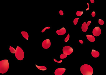 舞うバラの花びら背景黒