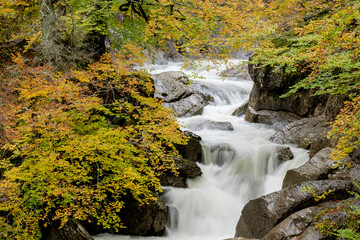 Green corridor of the river Veral, western valleys, Pyrenean mountain range, province of Huesca,...