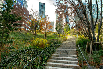 東京都港区立江戸見坂公園