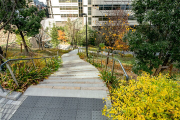 東京都港区立江戸見坂公園