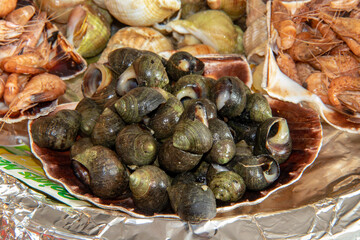 Présentation de bigorneaux dans une coquille Saint-Jacques