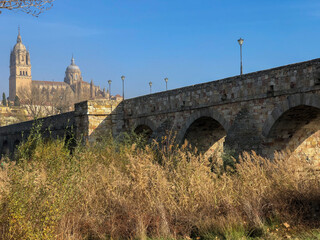 Obraz premium otoño en salamanca
