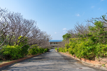 沖縄 国頭 北国小学校 思い出の中の風景