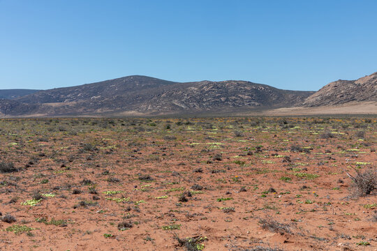 desrt landscape