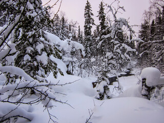 Winter landscape in Oulanka National Park, Lapland, Finland