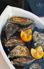 Platter of freshly shucked oysters on ice
