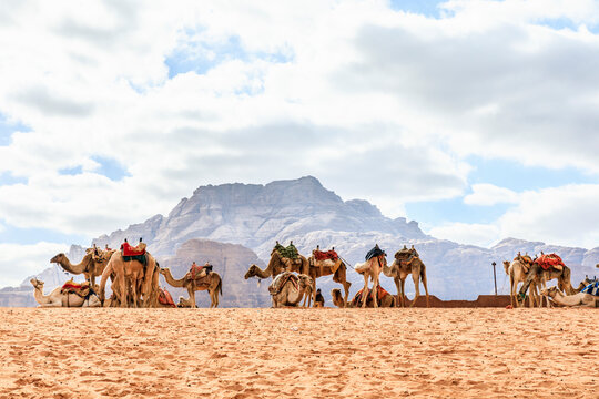 Derserto Wadi Rum in Giordania, rocce e sabbia, beduini e cammelli