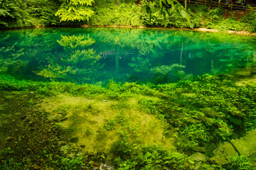 Beautiful view of the Blautopf, a colorful river head in the city of Blaubeuren, Germany surrounded by green plants and trees. The blue-turquoise is unique for this location.