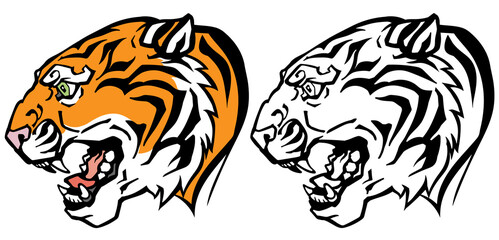 head of a roaring tiger. Angry big cat. Side view. Colour and Black White the tattoo style vector illustration