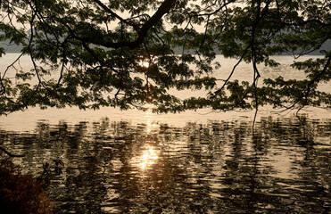 Reflection of morning sun  in water, through silhouette of tree branches at Rabindra Sarobar, an artificial lake amidst large areas of lush greenery in South Kolkata.