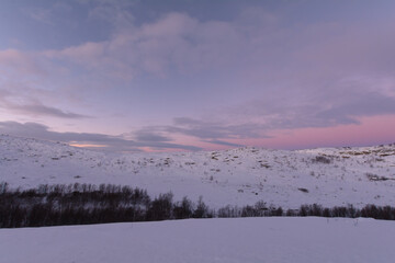 In winter, the tundra is covered with snow. Pink sunset.