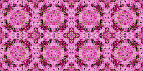 Pink and purple chrysanthemum flowers. Abstract floral background