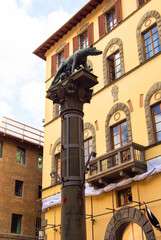 This is a pillar in the center of the city with the symbol of the city installed on it - a she-wolf, feeding Romulus and Remus (Siena she-wolf). Bronze sculpture on a column