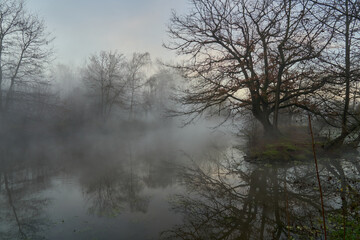 Foggy Morning Landscape and water